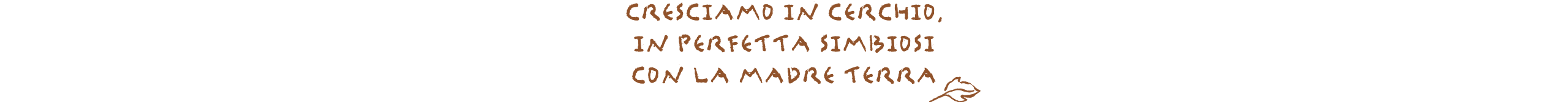 Utilizzare per vedere di più