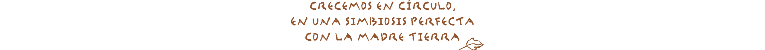 Utilice para ver más