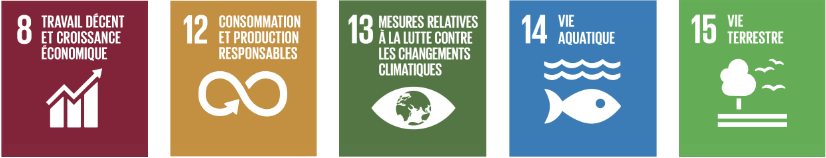 Utilisez pour voir plus