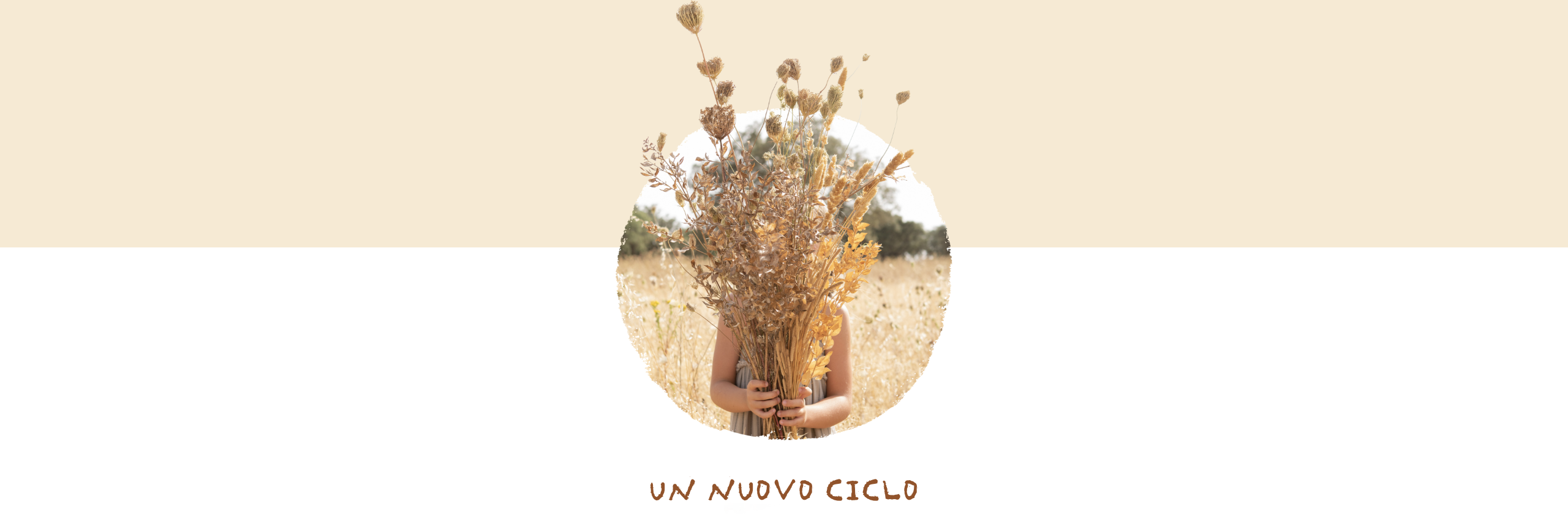 Utilizzare per vedere di più