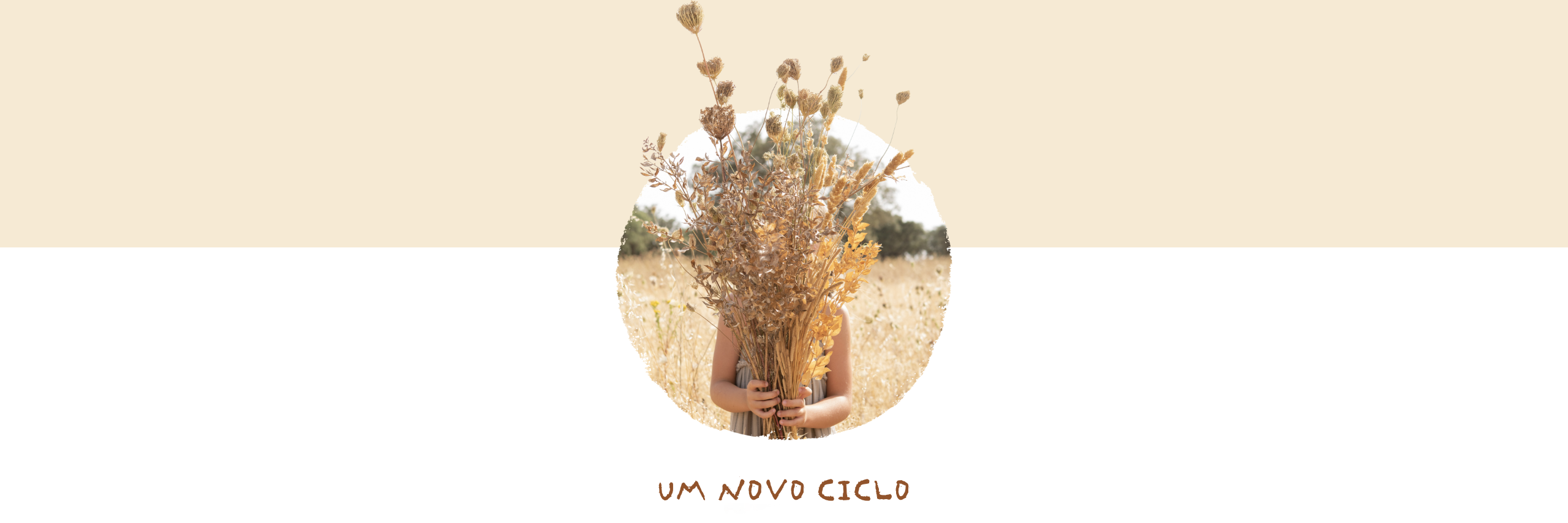 Utilize para ver mais