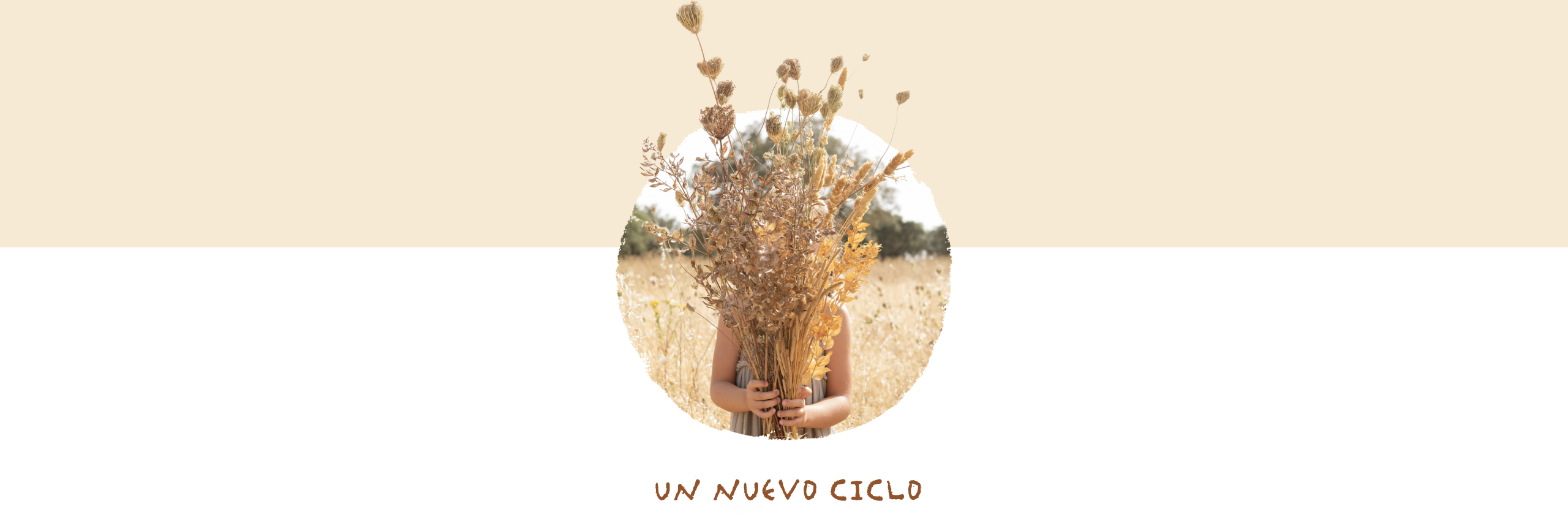 Utilice para ver más