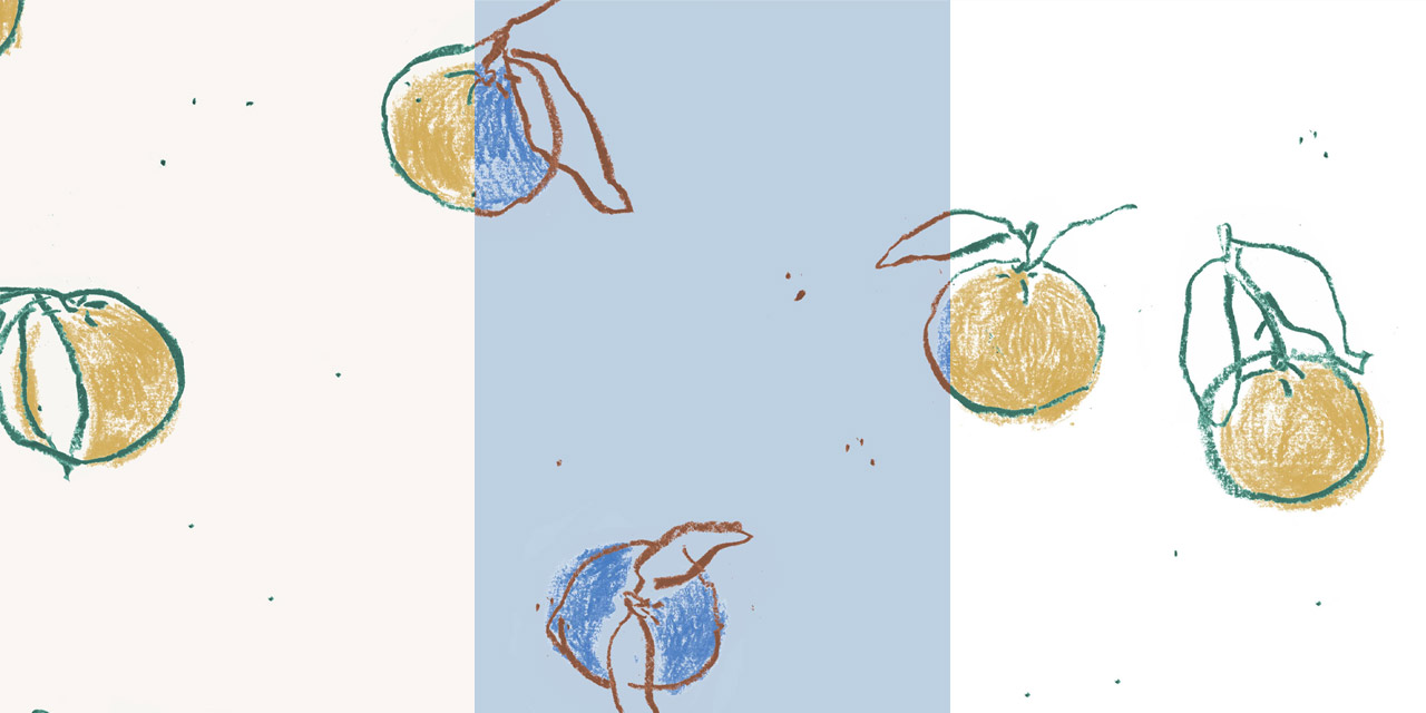 IMAGE0