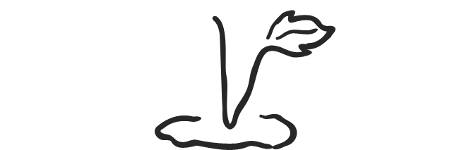 Utilisez pour voir plus