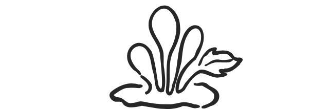 Utilisez pour voir plus