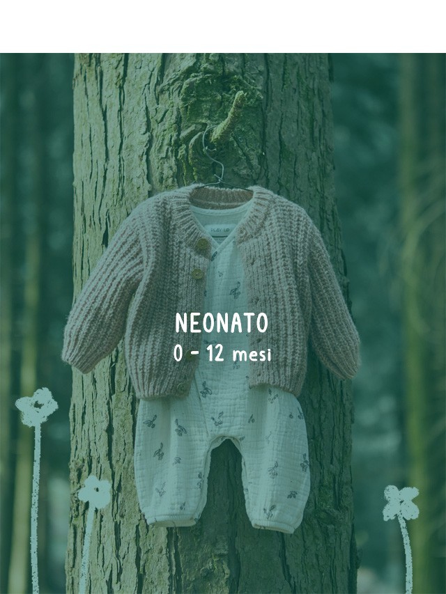 Utilizzare per  vedere di pi_1