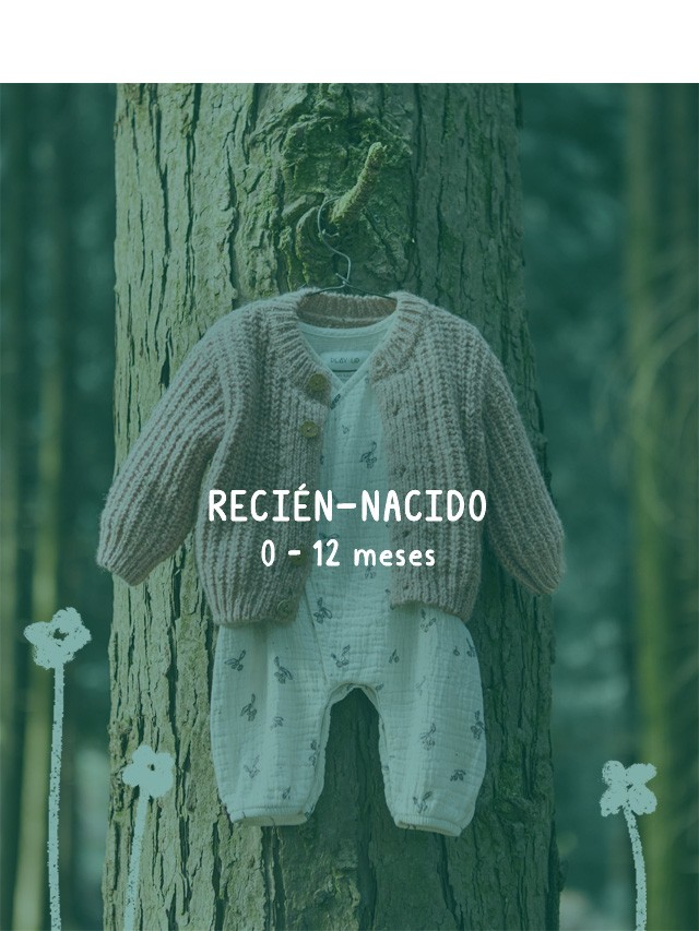 Utilice para  ver ms_1