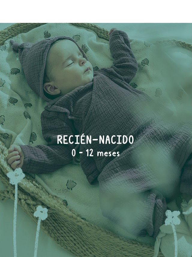 Utilice para  ver ms_1