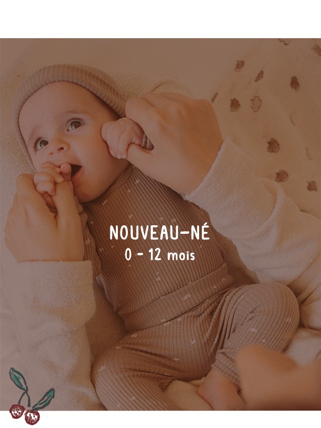 Utilisez pour  voir plus_1