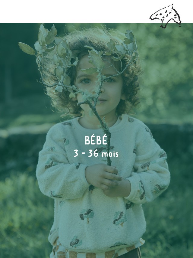 Utilisez pour  voir plus_1