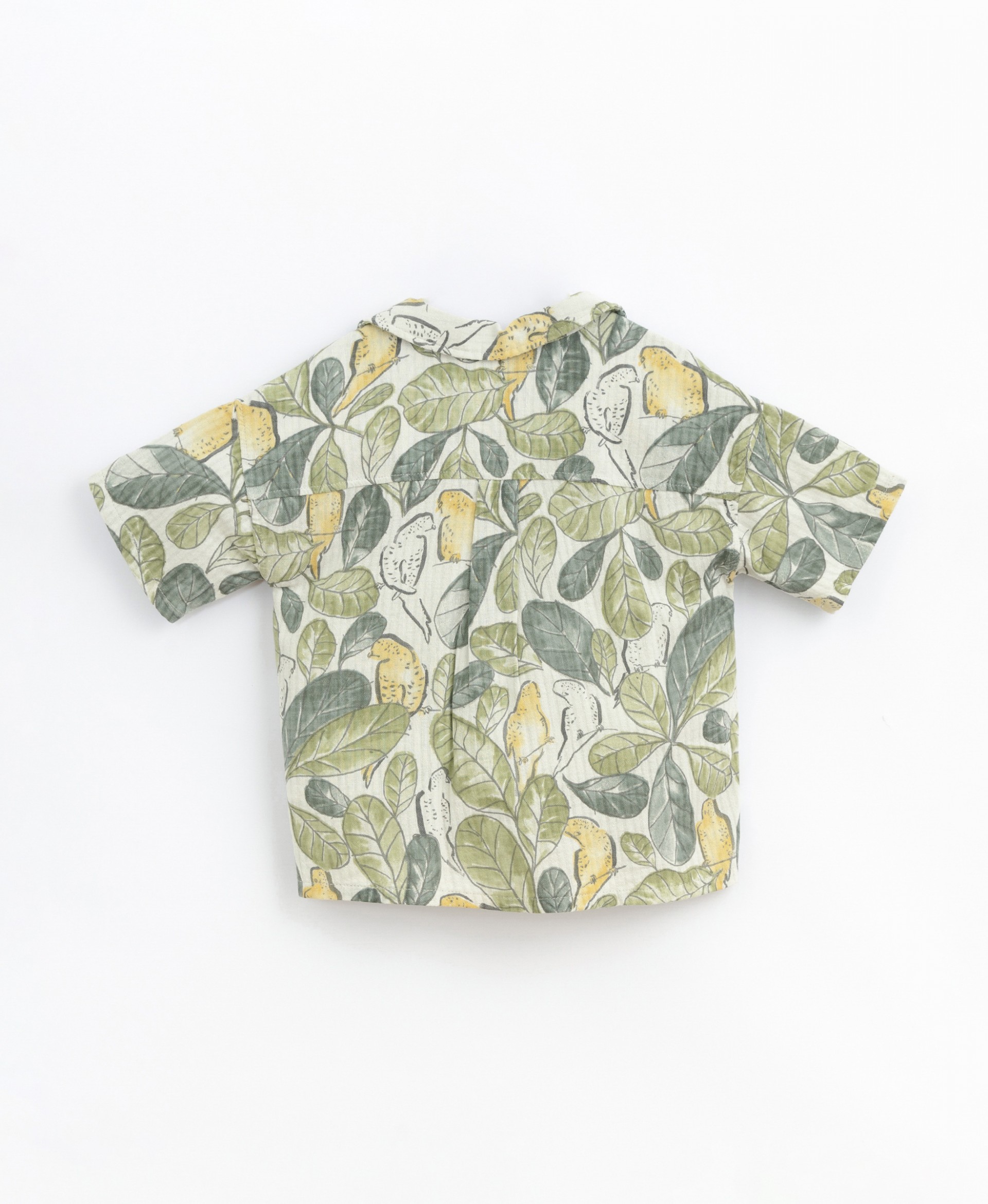 Shirt in cotton with parakeet print | Basketry