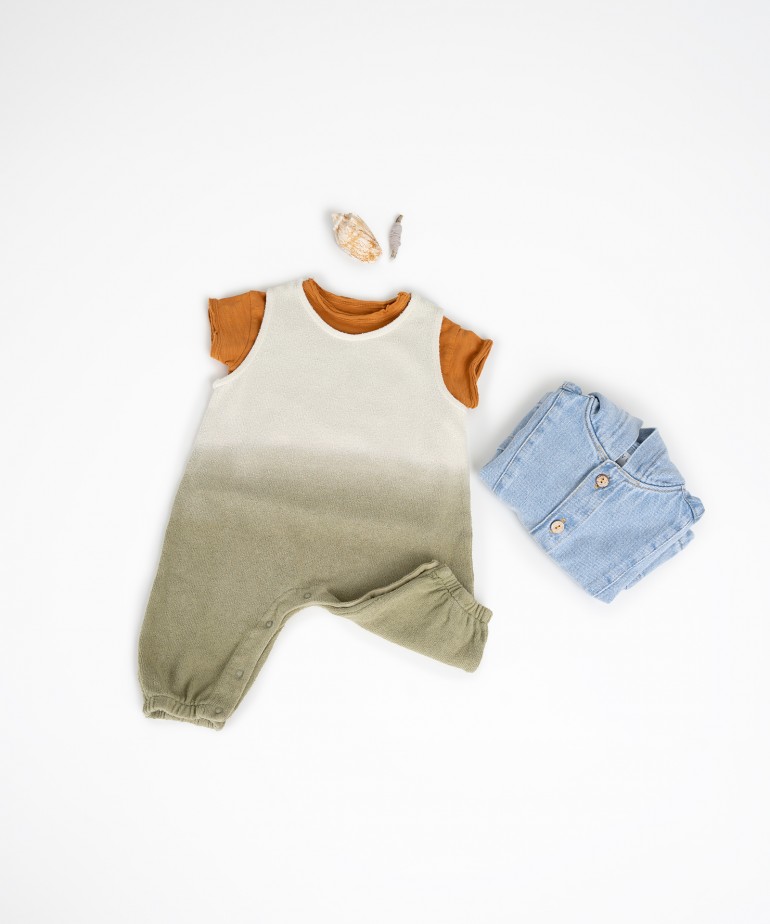 Macaco com gradiente de cor