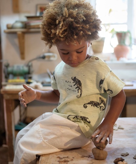 T-shirt with chameleon print