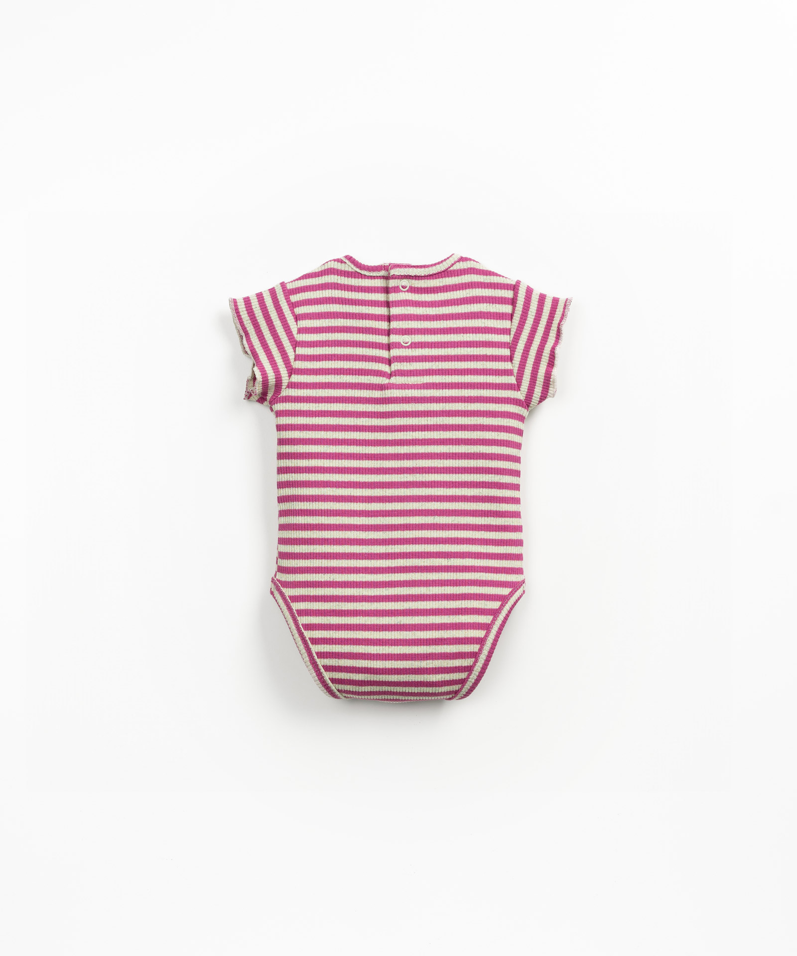 BODY RIB RISCAS