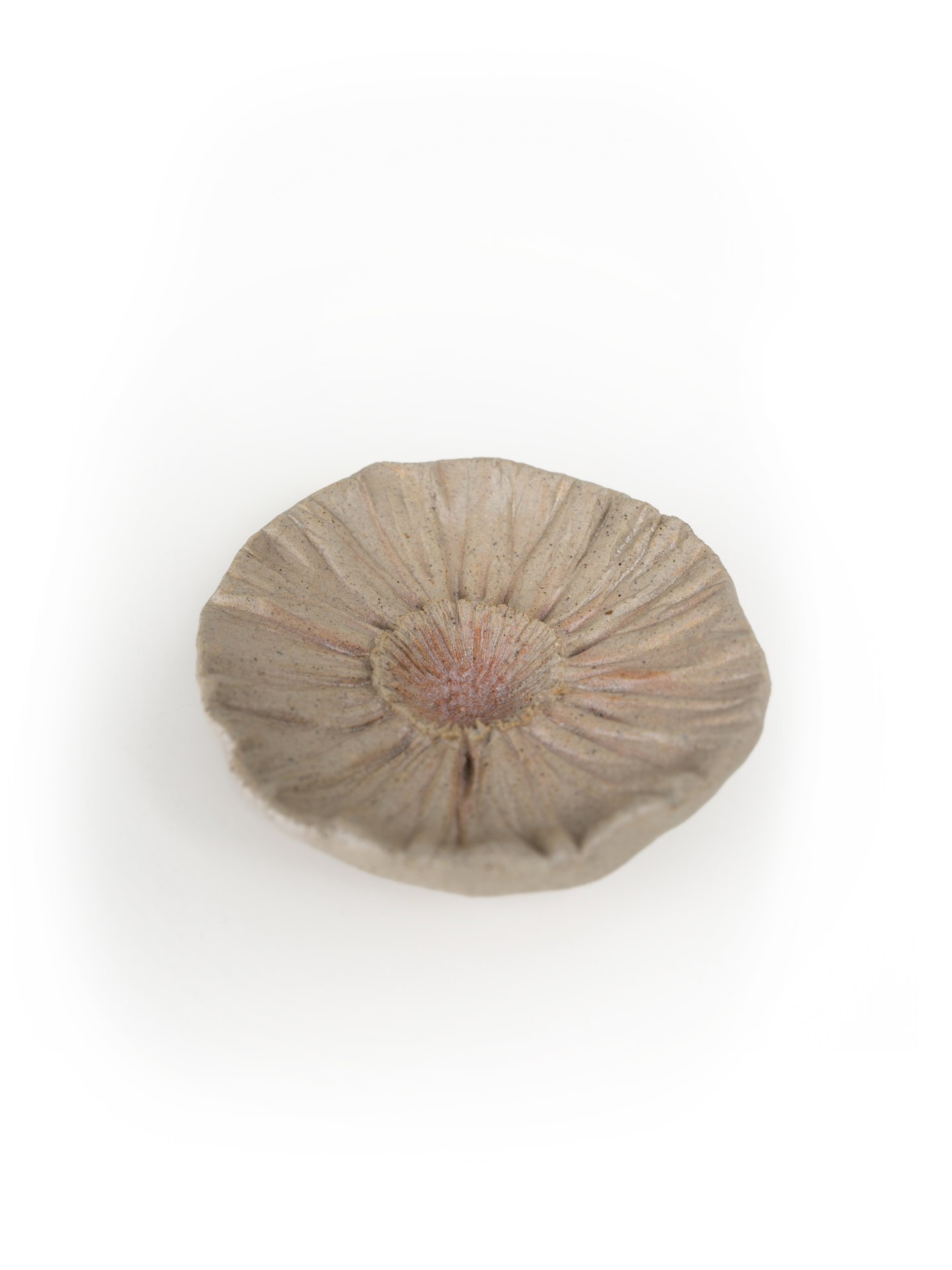 Diffuseur en céramique avec éléments naturels et cordon décoratif