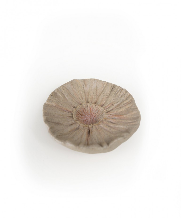 Difusor em cer�mica com elementos naturais e cord�o decorativo