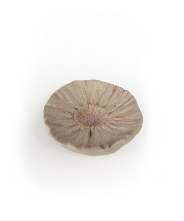 Diffuseur en c�ramique avec �l�ments naturels et cordon d�coratif