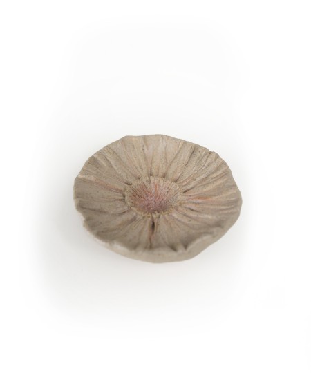 Difusor em cerâmica com elementos naturais e cordão decorativo