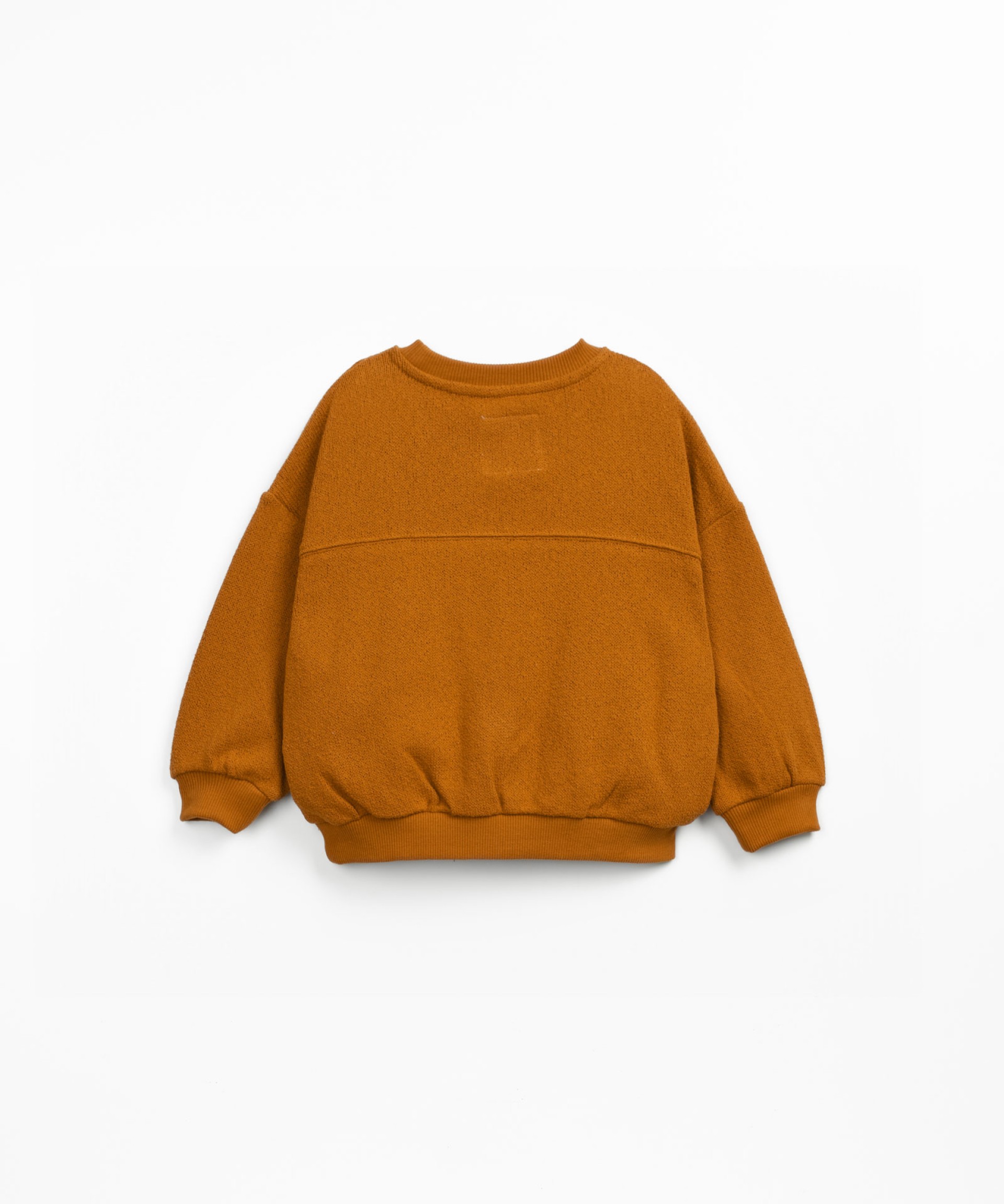 Jersey sweatshirt in regenerative and recycled cotton with ribbed cuffs