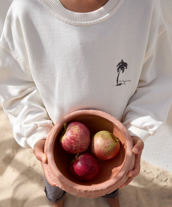 Organic cotton knit sweater