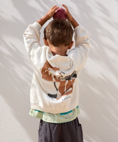 Organic cotton knit sweater