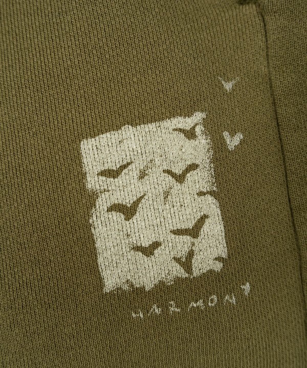 Shorts with front print