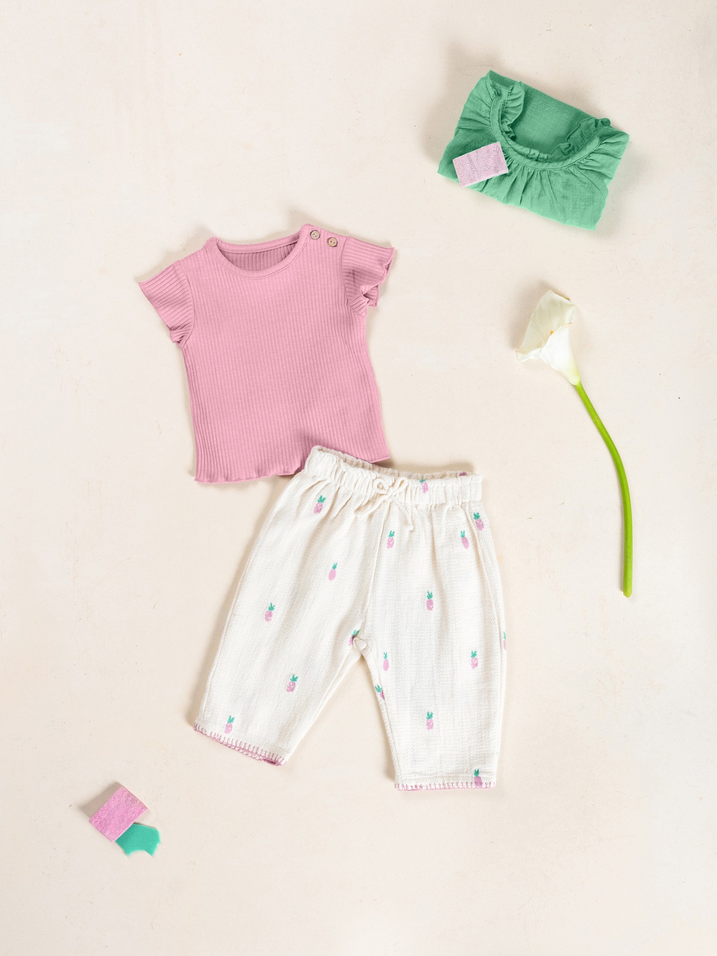 T-shirt en jersey côtelé de coton biologique