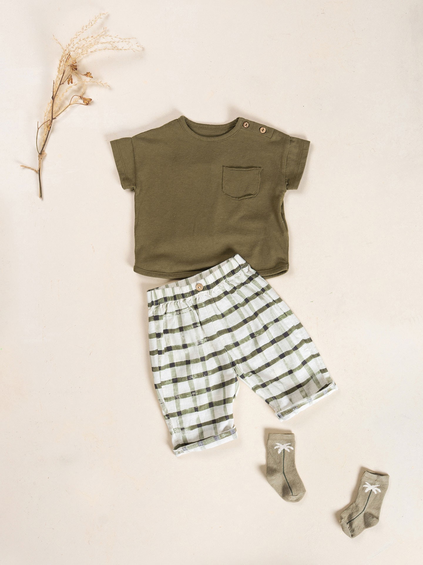 Meiascom desenho de palmeira