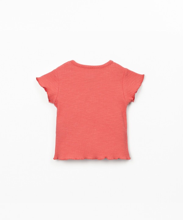 T-shirt in ribbed organic cotton jersey