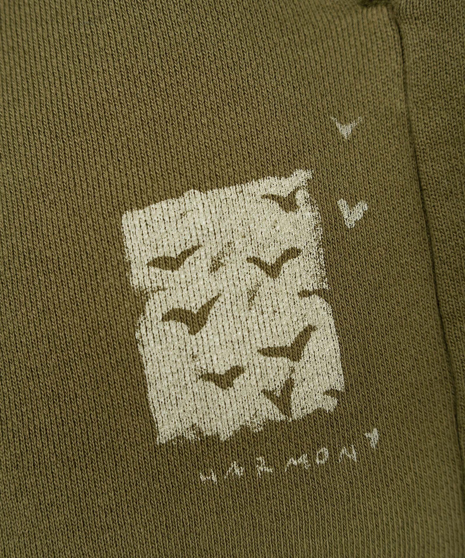 Shorts with front print