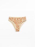 Slip bikini con stampa zebrata