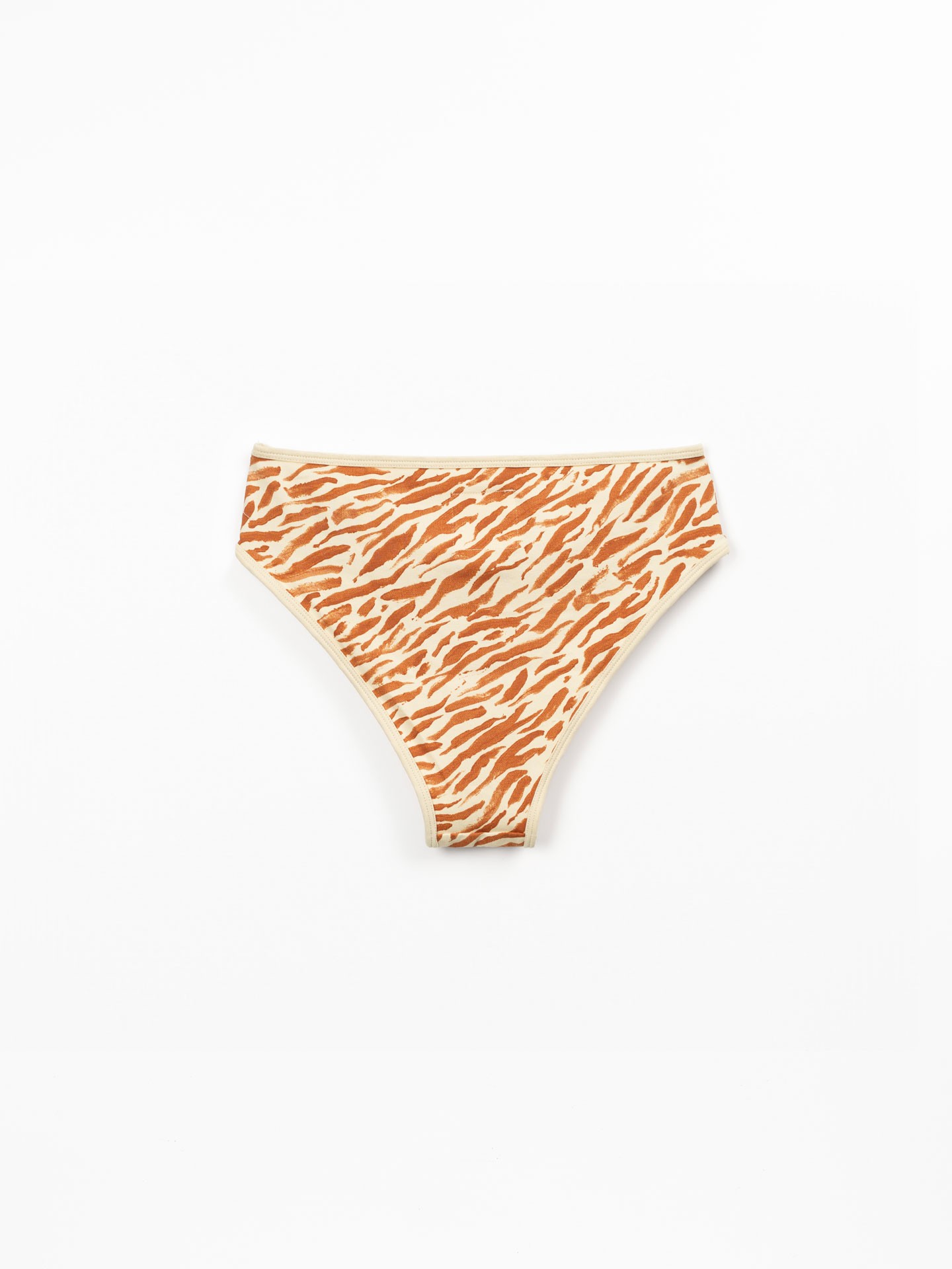 Slip bikini con stampa zebrata