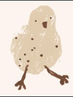 CHICK SKEIN