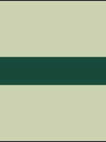FIBER